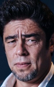Benicio Del Toro