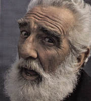 Noel Purcell