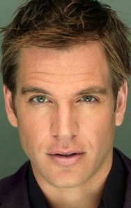 Michael Weatherly