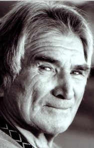 Vojislav Govedarica