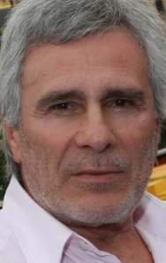 Gojko Mitic