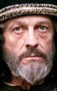 Toni Bertorelli